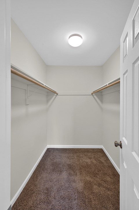 a walk in closet with a carpet and a white door